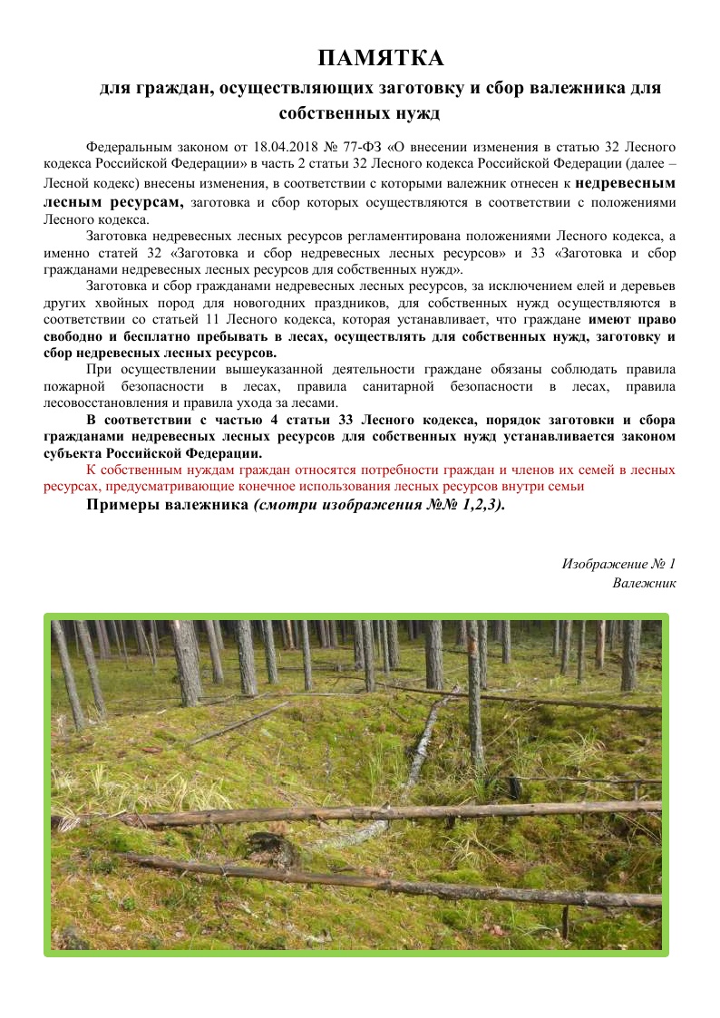 ПАМЯТКА  для граждан, осуществляющих заготовку и сбор валежника для  собственных нужд.