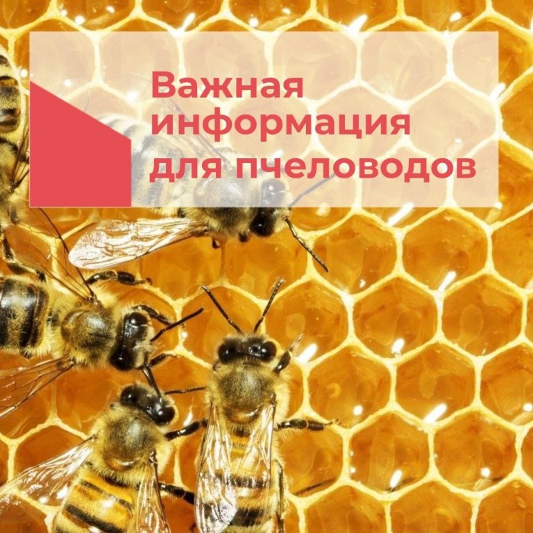 Индивидуальный предприниматель Лыков А.В. сообщает, что с 28 апреля 2025 года по 15 мая 2025 года включительно, на землях сельскохозяйственного назначения Васильевского сельского поселения Грибановского муниципального района будут проводиться работы по об.