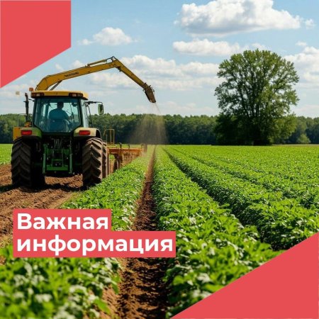 ИП Лыков В.И._Васильевка. ИП Лыков В.И._Васильевка.